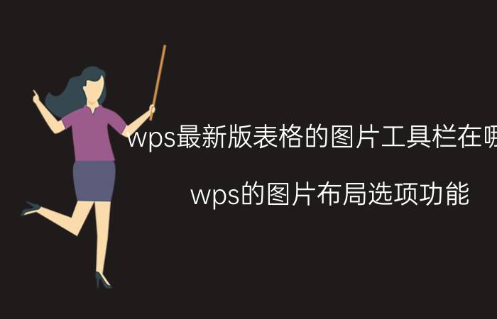 wps最新版表格的图片工具栏在哪里 wps的图片布局选项功能？